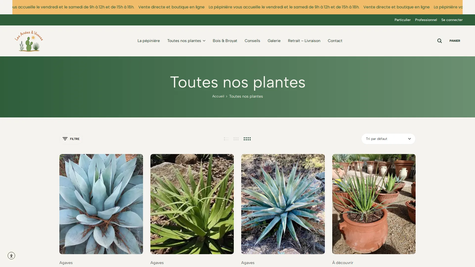 Les Arides & Vivaces — Boutique en ligne – Toutes nos plantes