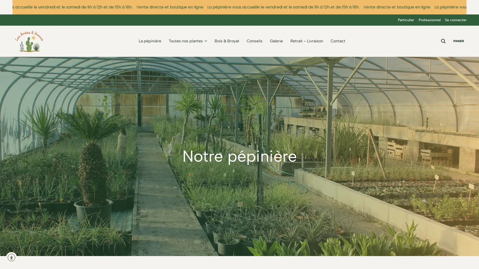Les Arides & Vivaces — La pépinière – Production locale à Flayosc